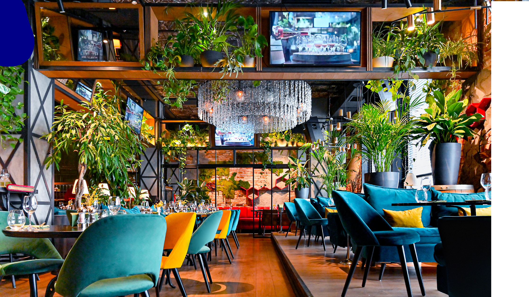 restaurant website cost